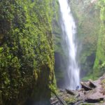 IMG-20240105-WA0005