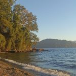 WhatsApp Image 2025-11-30 at 20.15.37