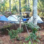 WhatsApp Image 2025-11-30 at 20.15.38 (2)