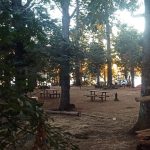 WhatsApp Image 2025-11-30 at 20.15.38