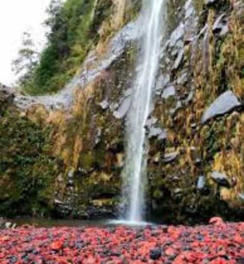 Salto el Pimenton